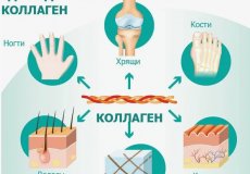Нужен ли приём коллагена для молодости кожи?